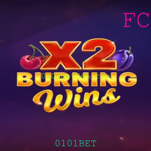 Descubra as Regras e Atrações do Jogo BurningWinsX2 na Plataforma 0101BET