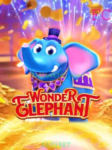 Explorando o Fascinante Mundo de WonderElephant: Um Guia Completo